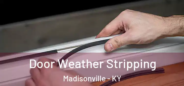  Door Weather Stripping Madisonville - KY