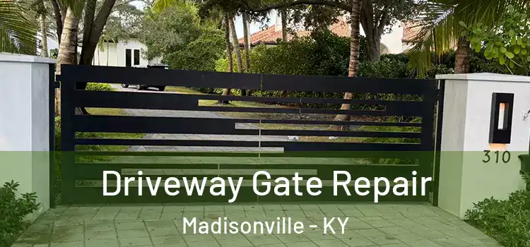  Driveway Gate Repair Madisonville - KY