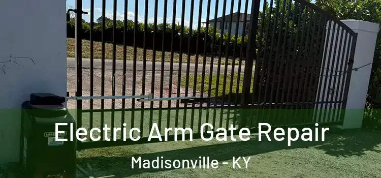  Electric Arm Gate Repair Madisonville - KY