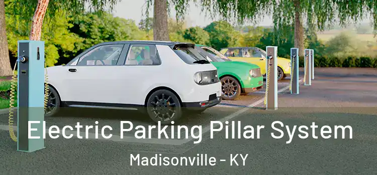  Electric Parking Pillar System Madisonville - KY