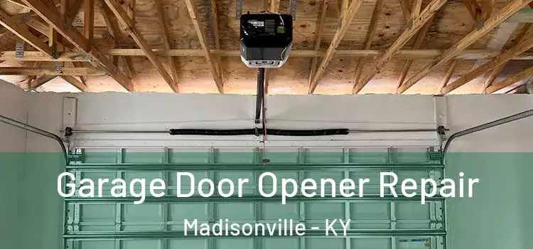  Garage Door Opener Repair Madisonville - KY