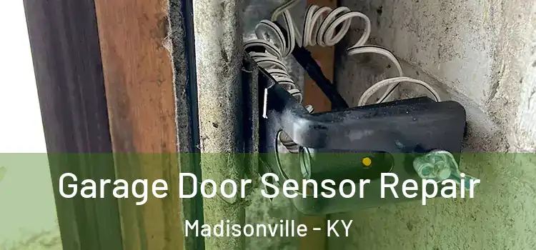  Garage Door Sensor Repair Madisonville - KY