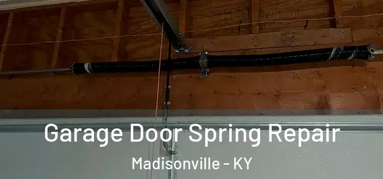  Garage Door Spring Repair Madisonville - KY