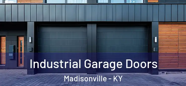  Industrial Garage Doors Madisonville - KY