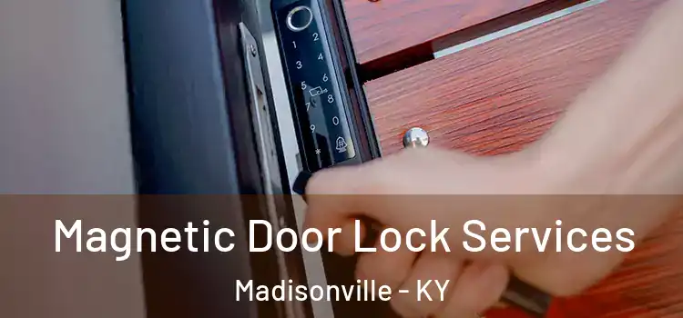  Magnetic Door Lock Services Madisonville - KY
