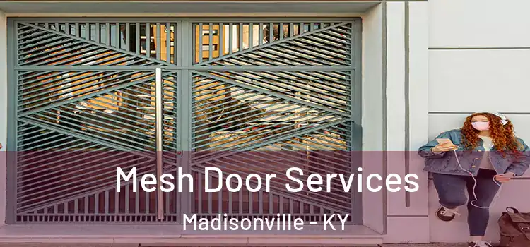  Mesh Door Services Madisonville - KY