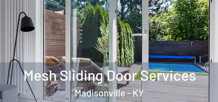  Mesh Sliding Door Services Madisonville - KY