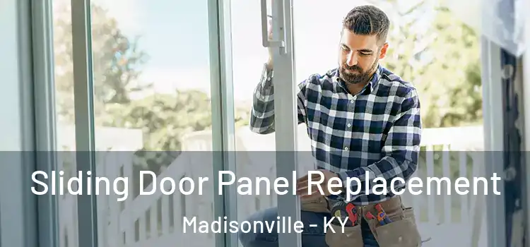  Sliding Door Panel Replacement Madisonville - KY