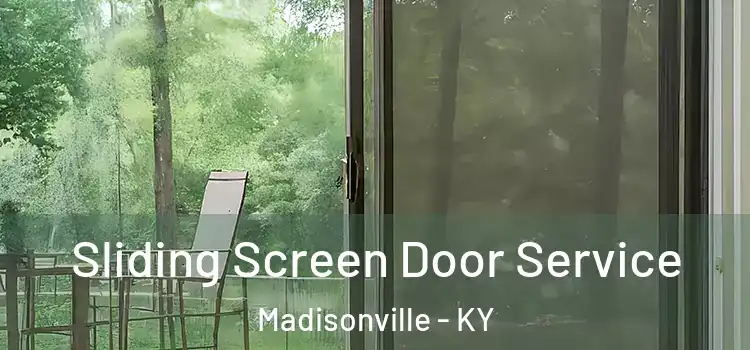 Sliding Screen Door Service Madisonville - KY