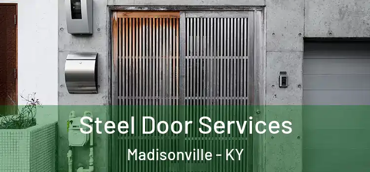  Steel Door Services Madisonville - KY