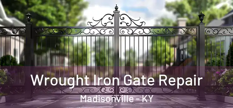  Wrought Iron Gate Repair Madisonville - KY